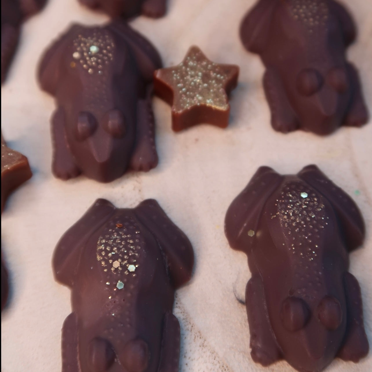 Chocolate frogs wax melts